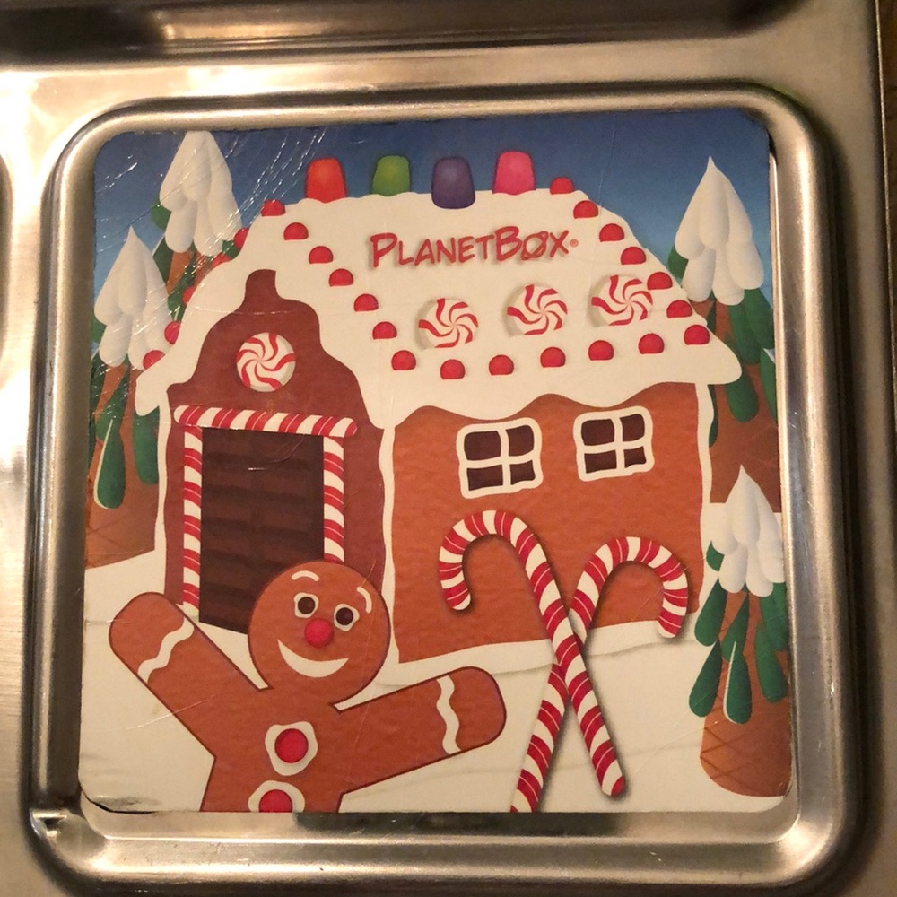 Rover Planetbox lunchbox